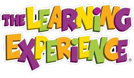 The Learning Experience